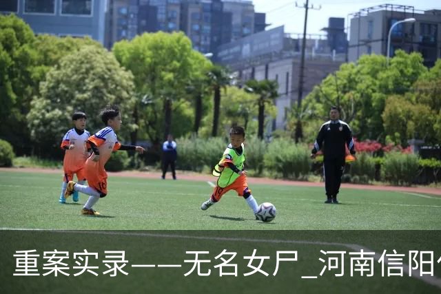 重案实录——无名女尸 河南信阳亿万富豪杨志才杀人案始末